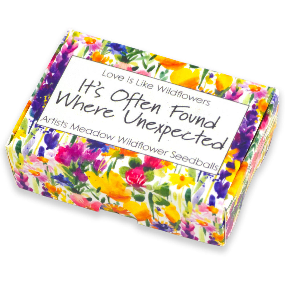 Love is Like Wildflowers | Artist Mix | 6 Seedball Box | Cracker Filler Gift