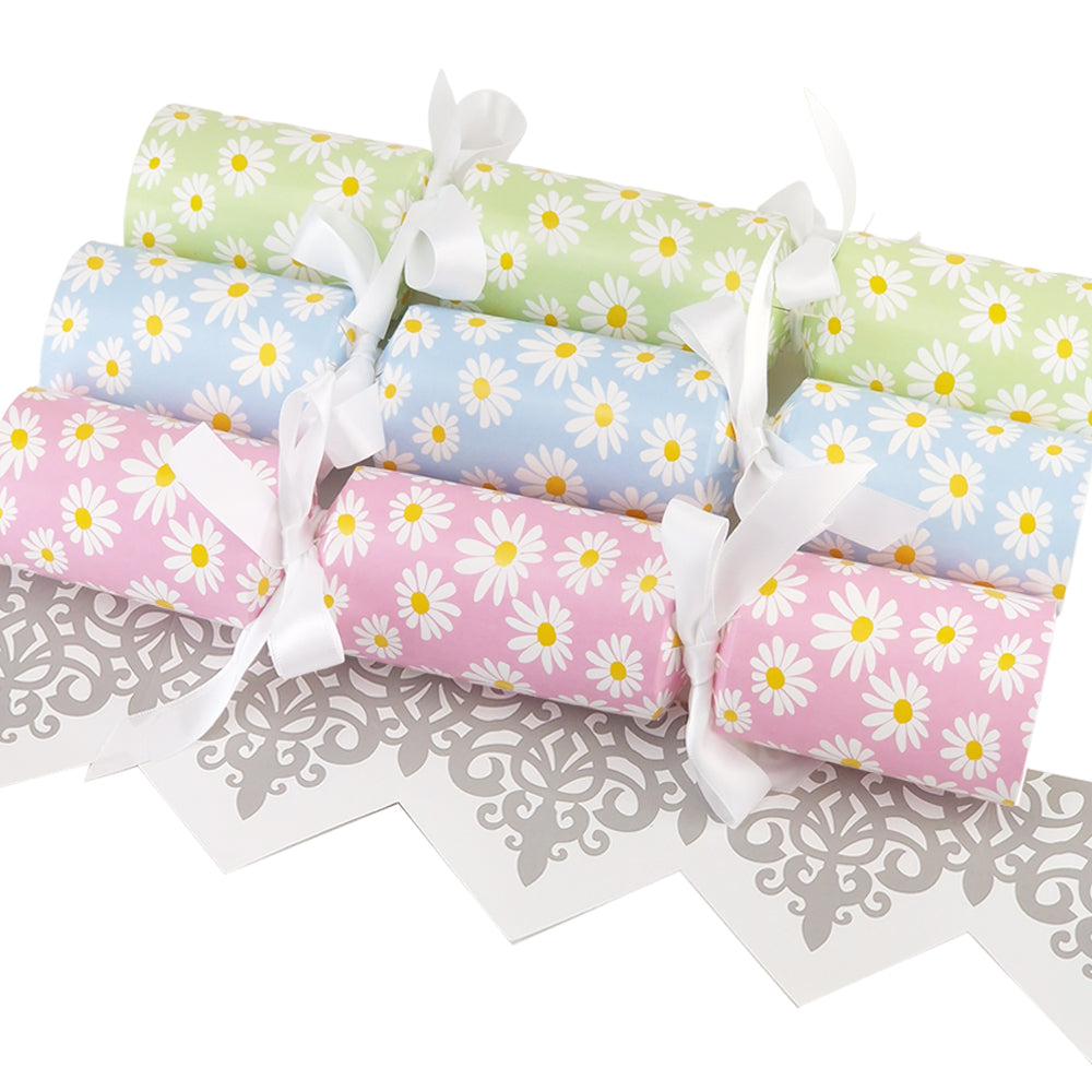 Assorted Colour Daisy Flower | Cracker Making Craft Kit | Make &amp; Fill Your Own