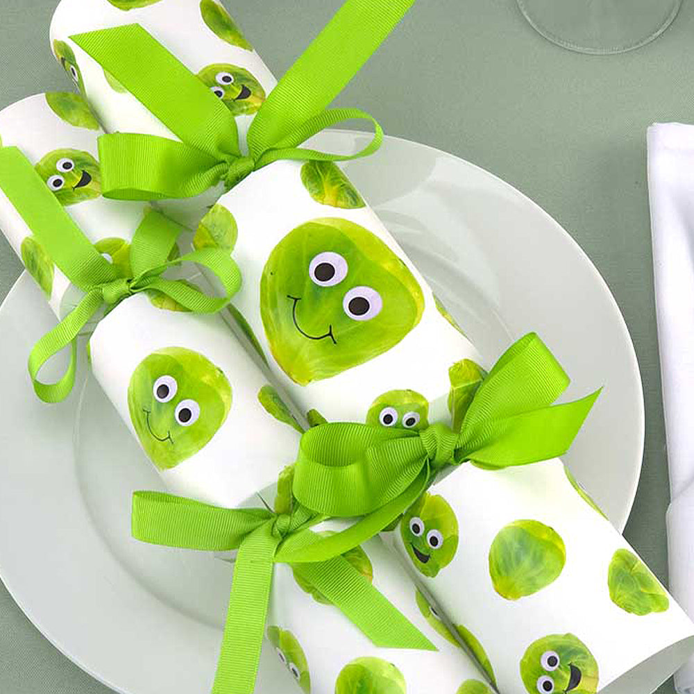 Christmas Cracker Making Craft Kits | Makes 6 Crackers | Big Choice of Designs