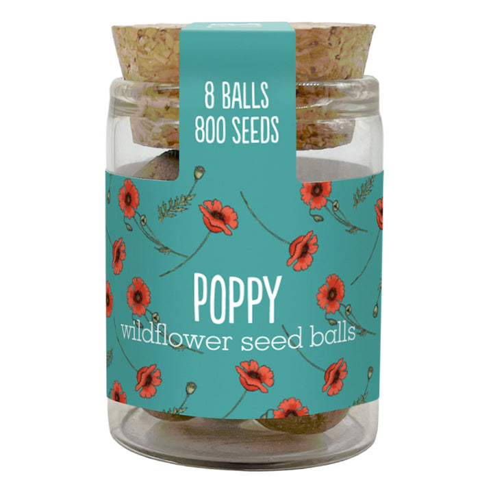 Gorgeous Wildflower Seed Ball Jar | 8 Balls | Cracker Filler | Little Gift