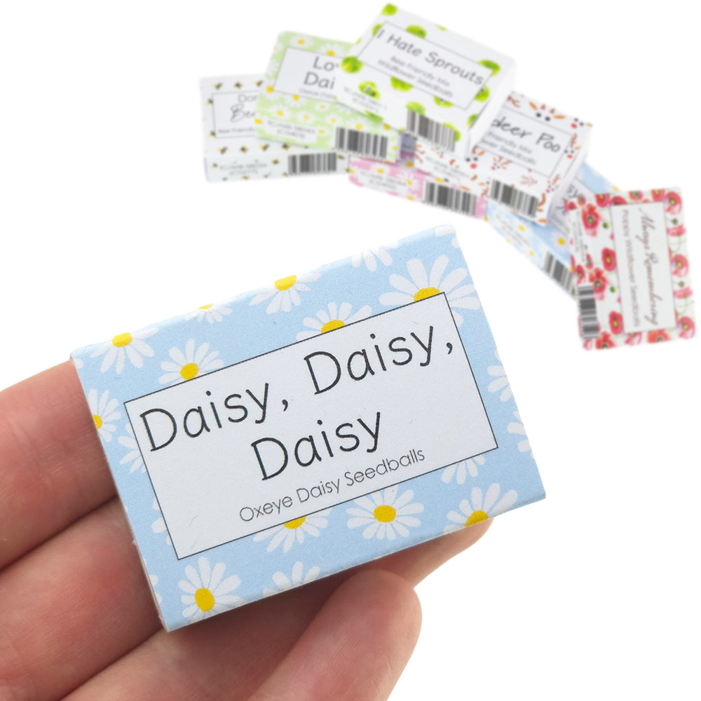 Blue Daisy Design | Seedball Box | Oxeye Daisies | Cracker Filler | Little Gift