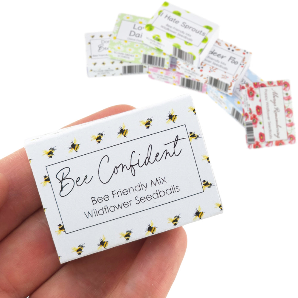 Bee Confident | Seedball Matchbox | Bee Mix | Cracker Filler | Little Gift