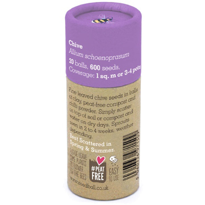 Chives | Luxury Tube of Seedballs | Cracker Filler | Little Gift