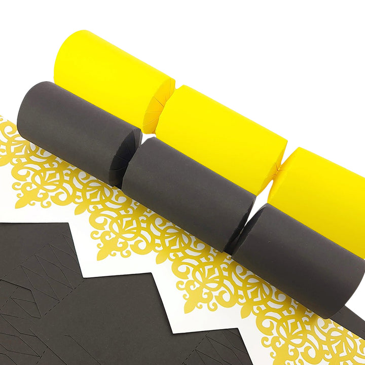 Buzzing Bee Shades | Craft Kit to Make 8 Recyclable Crackers | Cracker Making