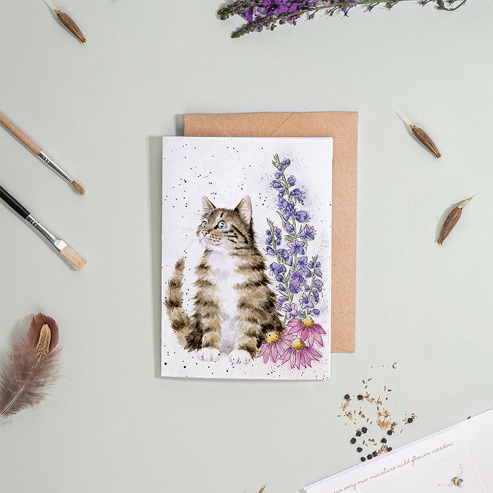 Cat and Wildflowers | Blank Card & Wild Flower Seeds | 10.5x15cm | Wrendale Designs