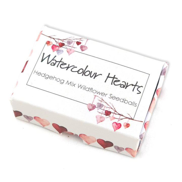 Watercolour Hearts | Hedgehog Friendly Seedball Box | Valentines Cracker Gift