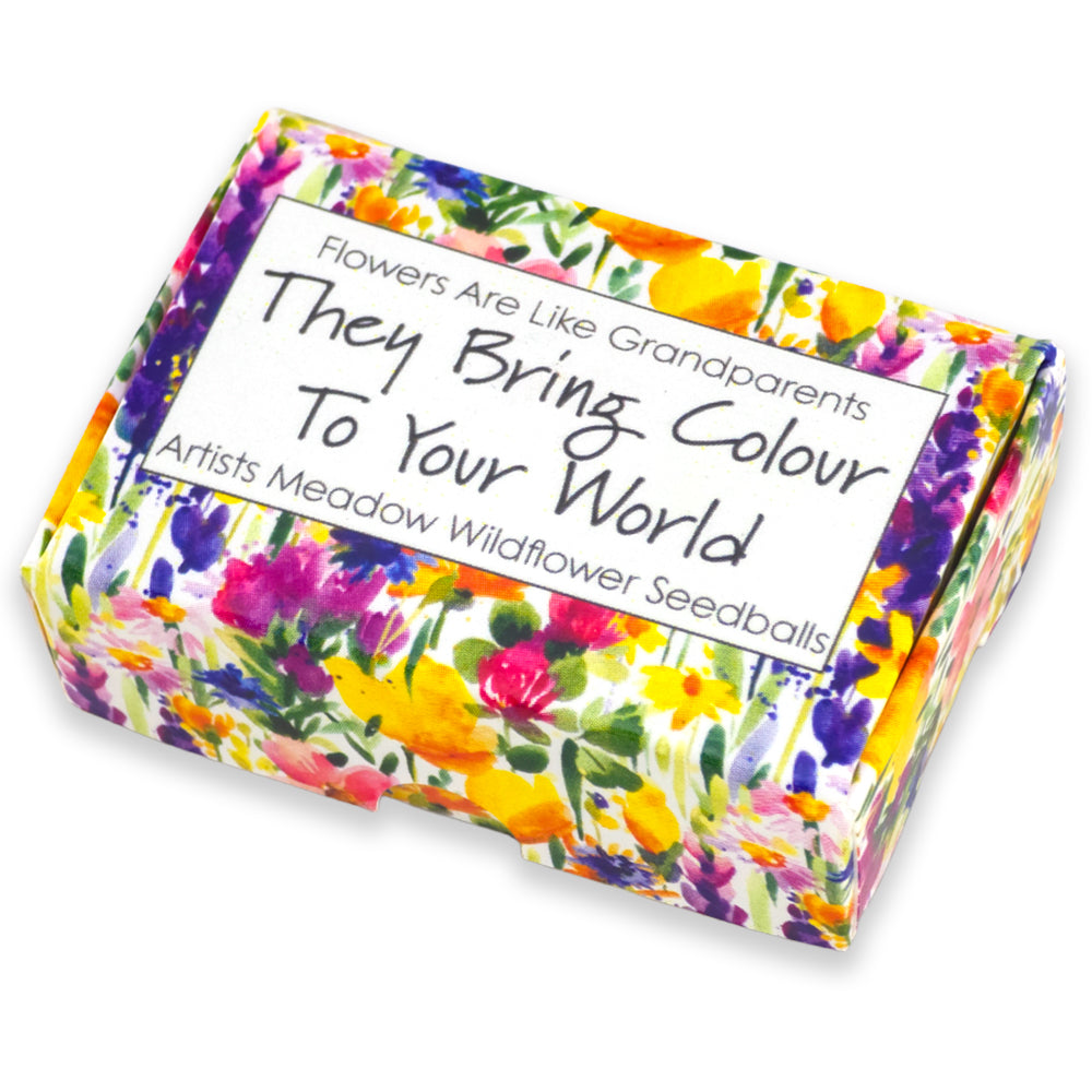 Flowers Are Like Grandparents | Artist Mix | 6 Seedball Box | Cracker Filler