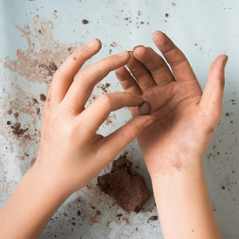 Make Your Own Seedballs Craft Kit | Flowers for Butterflies | Makes 50-60 Balls