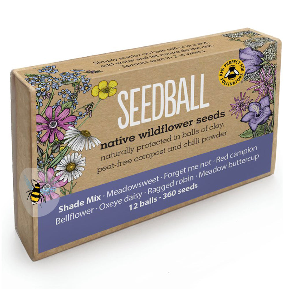 Shade Mix | 12 Native Wildflower Seedballs | Little Gift | Cracker Filler