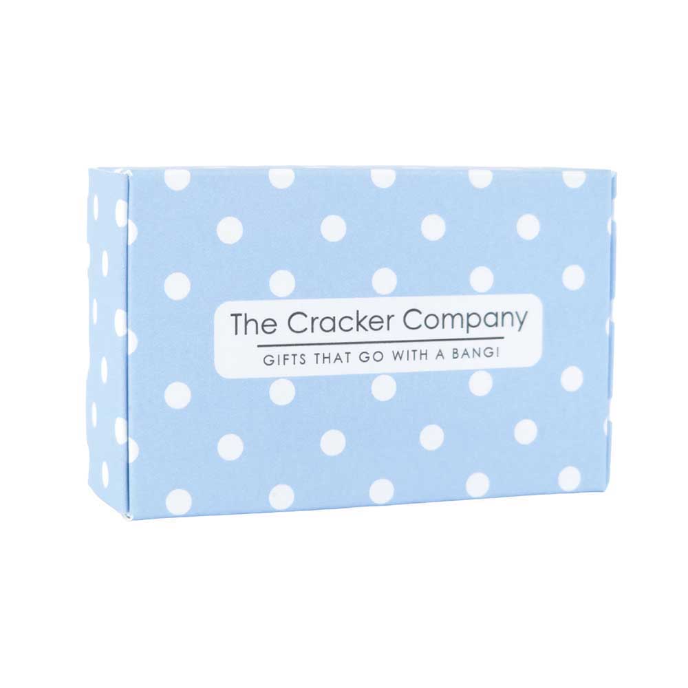 Dainty Forget Me Not | Clip On Silver Tone Earrings | Little Gift | Cracker Filler