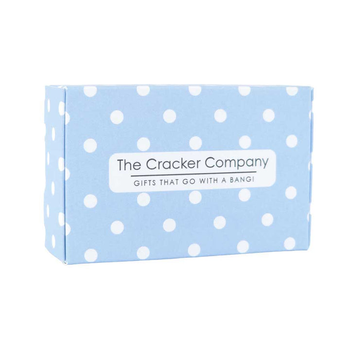 Dainty Forget Me Not | Clip On Silver Tone Earrings | Little Gift | Cracker Filler