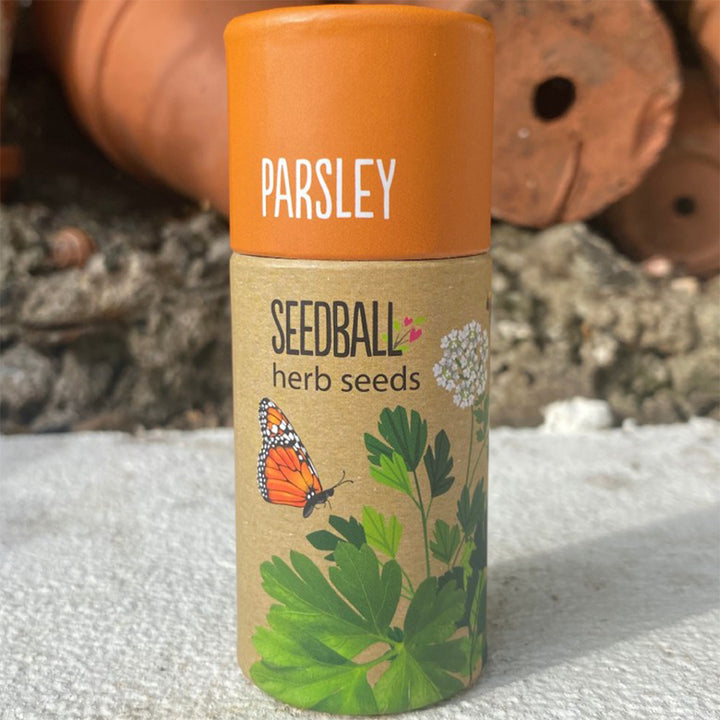 Parsley | Luxury Tube of Seedballs | Cracker Filler | Little Gift
