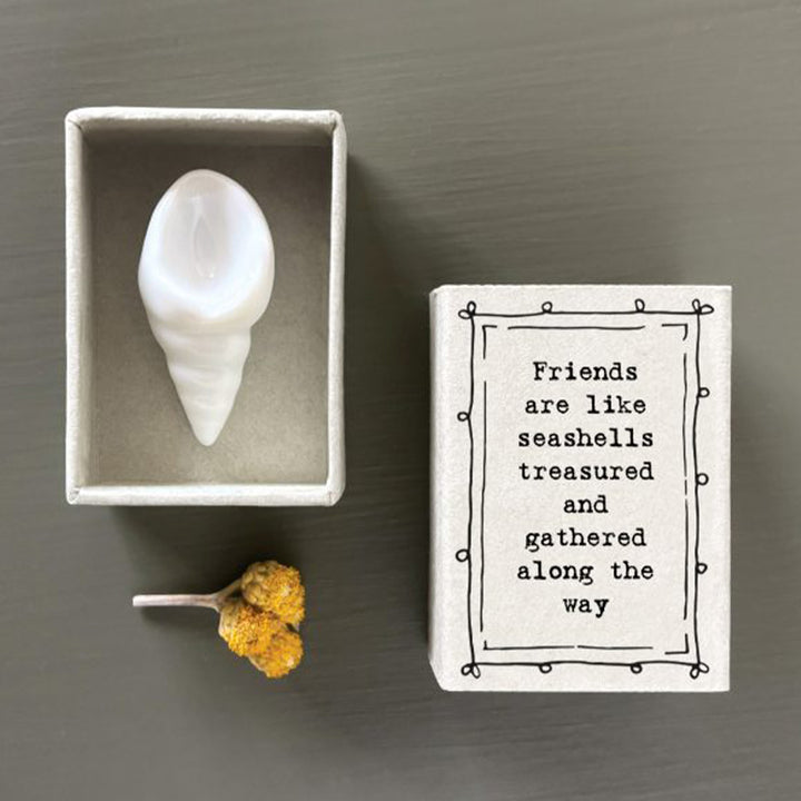 Friends Are Like Seashells - Treasured | Porcelain Shell | Cracker Filler Gift
