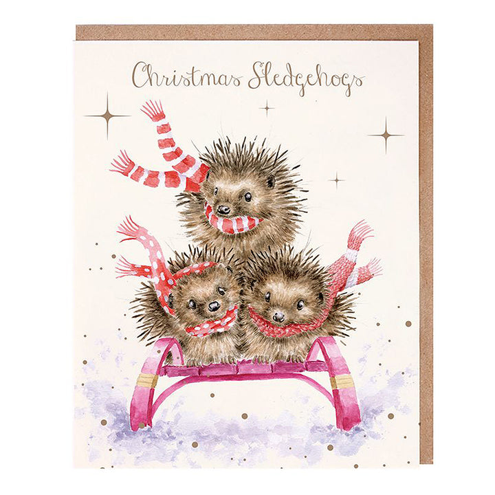 Sledgehogs | Hedgehogs in the Snow | 8 Christmas Cards | Wrendale Designs