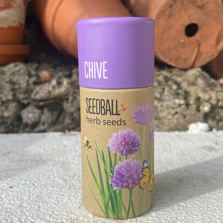 Chives | Luxury Tube of Seedballs | Cracker Filler | Little Gift