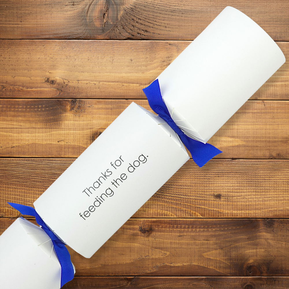 Thanks for feeding the dog | Modern Phrases Cracker Making Kit