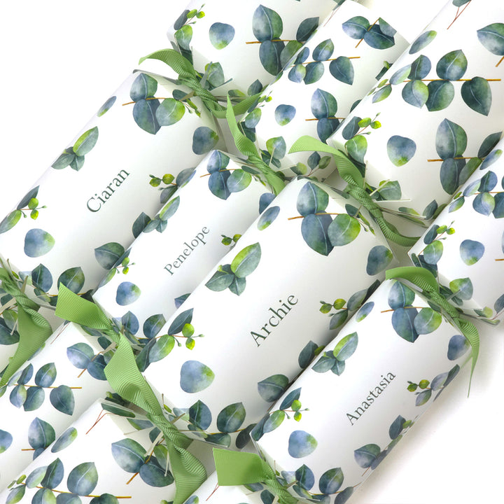 Personalised Cracker Making Kit | Watercolour Eucalyptus | Makes 4 or 6 Crackers