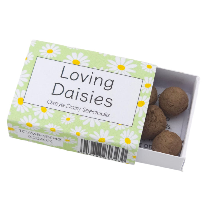 Green Daisy Design | Seedball Box | Oxeye Daisy | Cracker Filler | Little Gift