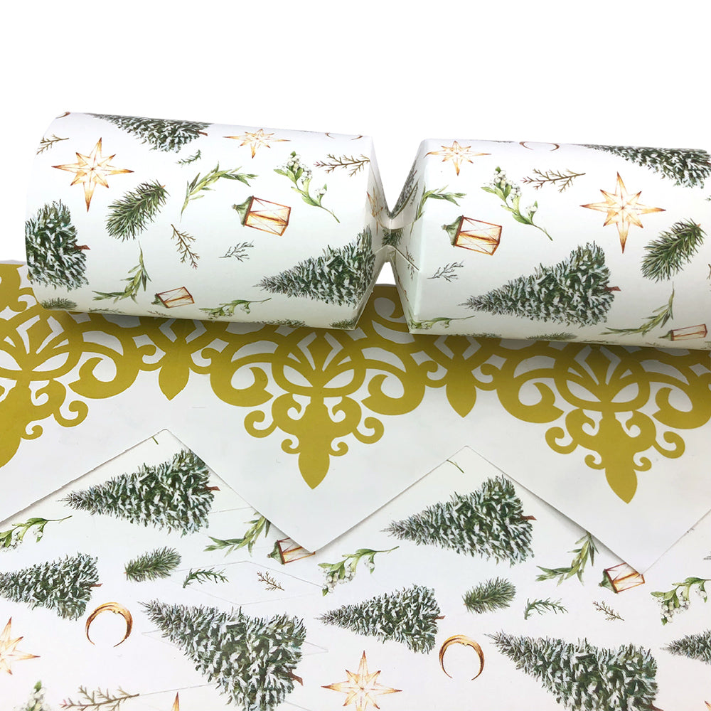 Classic Watercolour Christmas | Cracker Making Craft Kit | Make &amp; Fill Your Own