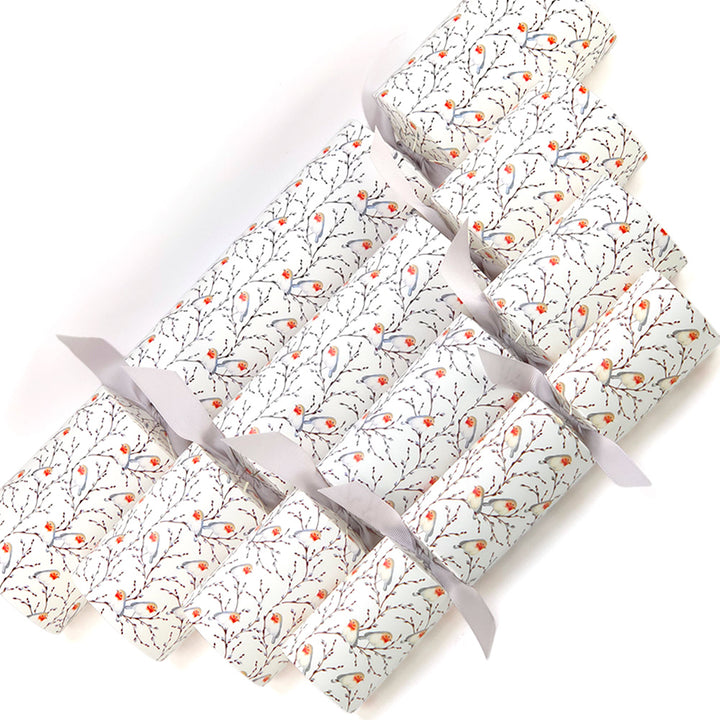 Extra Large &amp; Jumbo | Reusable Keepsake DIY Cracker Sets | Willow &amp; Robin