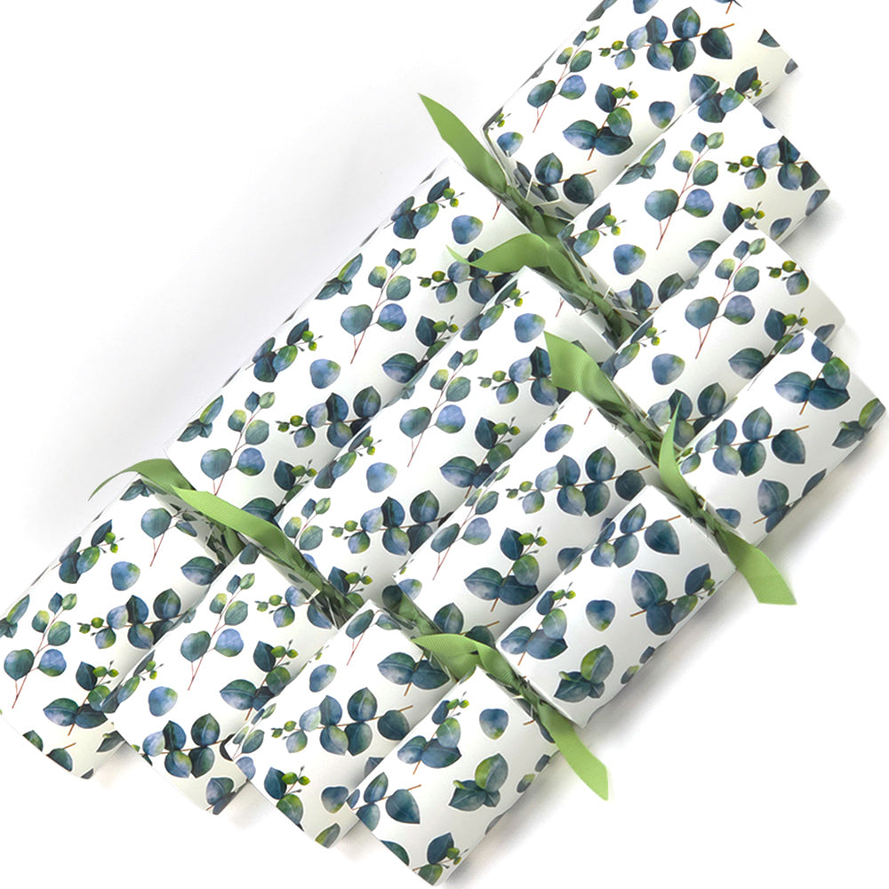 Extra Large &amp; Jumbo | Reusable Keepsake Cracker Sets | Watercolour Eucalyptus