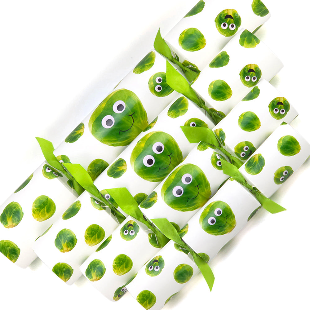 Reusable Keepsake Christmas Cracker Set | Googly Sprouts | Luxury DIY