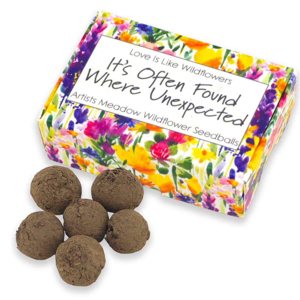 Love is Like Wildflowers | Artist Mix | 6 Seedball Box | Cracker Filler Gift