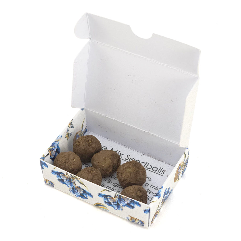Happy Easter in Blue | Seedball Matchbox | Bee Mix | Cracker Filler | Little Gift