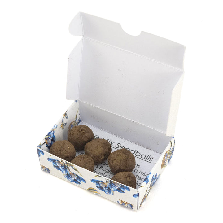 Happy Easter in Blue | Seedball Matchbox | Bee Mix | Cracker Filler | Little Gift