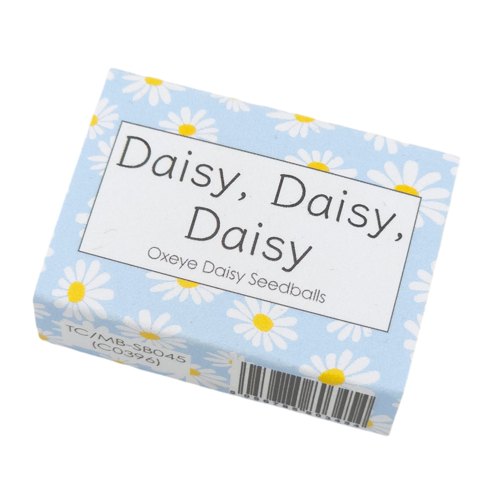 Blue Daisy Design | Seedball Box | Oxeye Daisies | Cracker Filler | Little Gift