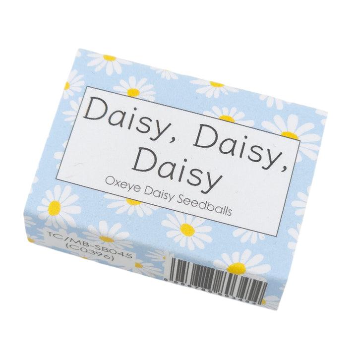 Blue Daisy Design | 6 Seedball Box | Oxeye Daisies | Cracker Filler | Mini Gift