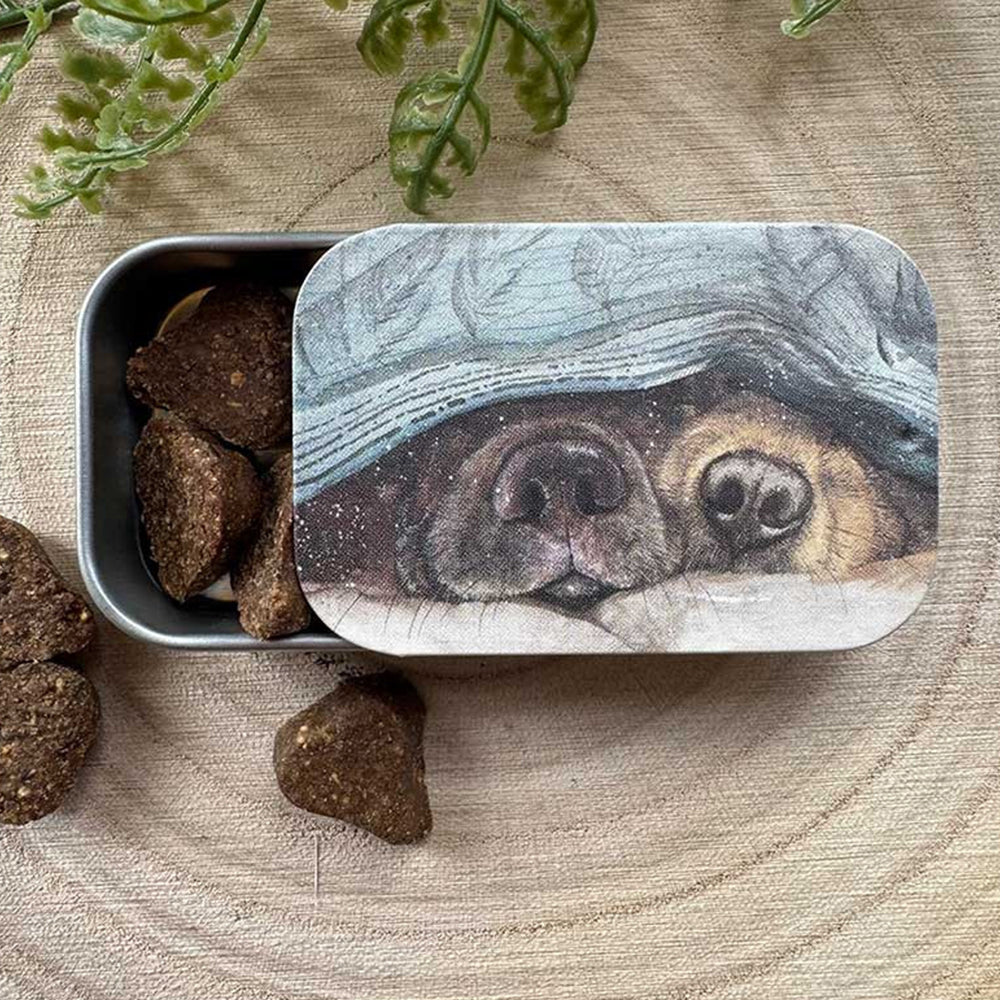 Cute Doggy Snouts | Little Slide Shut Tin to Fill | Cracker Filler Gift