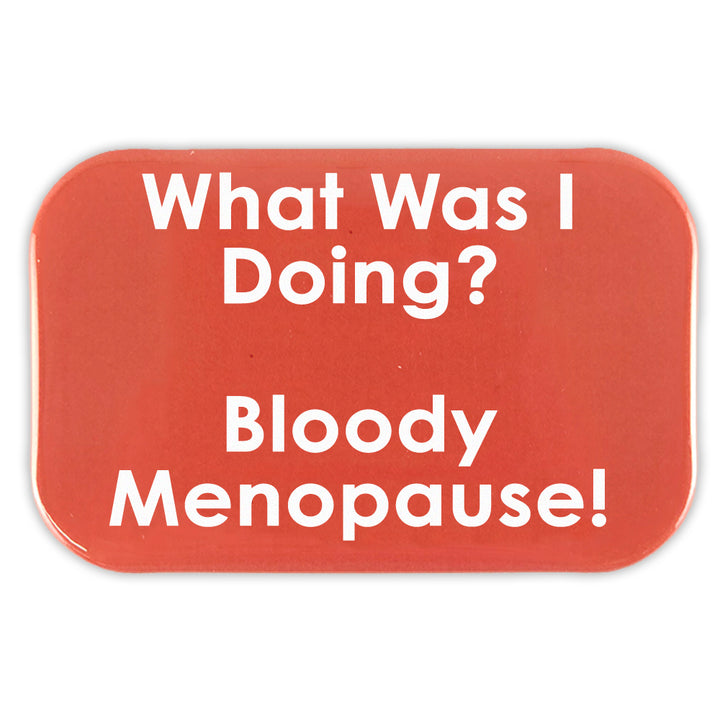 What Was I Doing? | Fridge Magnet | Fun Menopausal Mini Gift | Cracker Filler