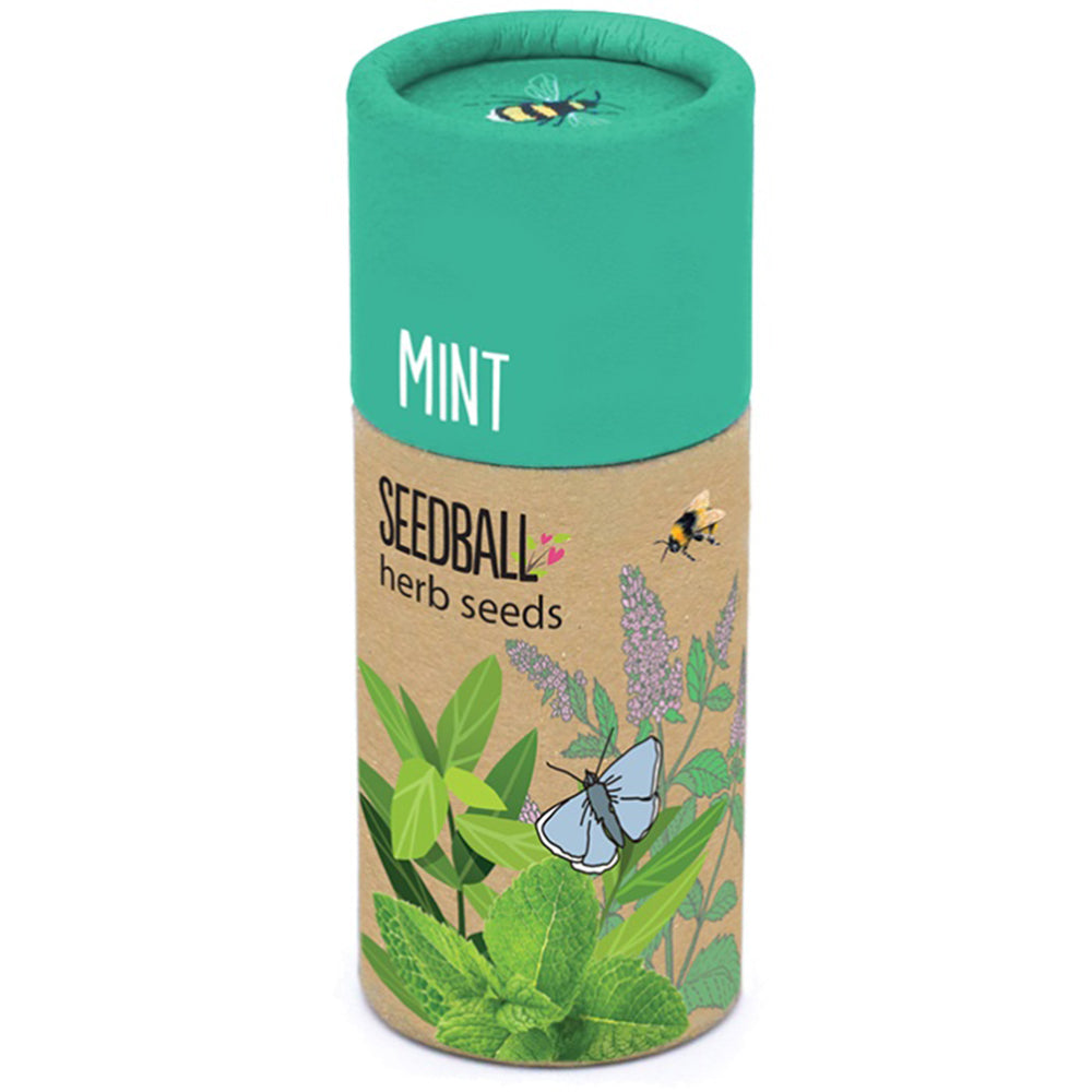 Mint | Luxury Tube of Seedballs | Cracker Filler | Little Gift