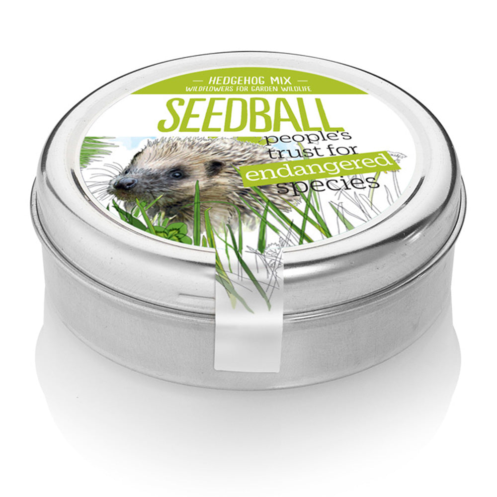 Hedgehog Mix  | Wildflower Seedball Tin | Lovely Gift
