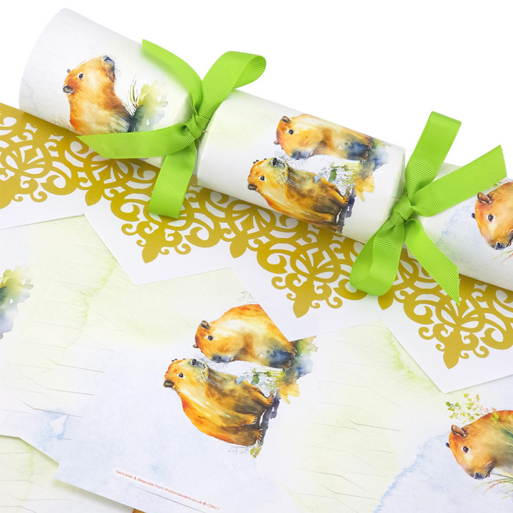 Capybara | Cracker Making Craft Kit | Make &amp; Fill Your Own