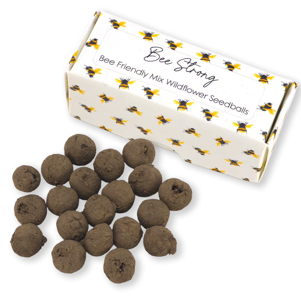 Bee Strong | Box of 20 Bee Mix Seedballs | Cracker Filler | Little Gift