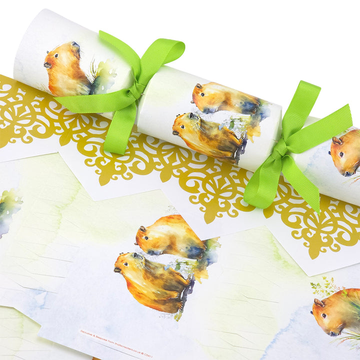 Capybara | Cracker Making Craft Kit | Make &amp; Fill Your Own