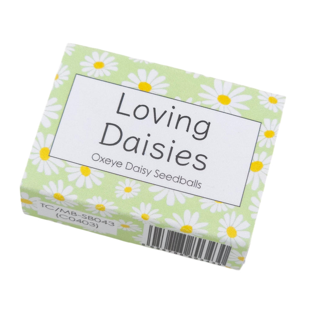 Green Daisy Design | Seedball Box | Oxeye Daisy | Cracker Filler | Little Gift