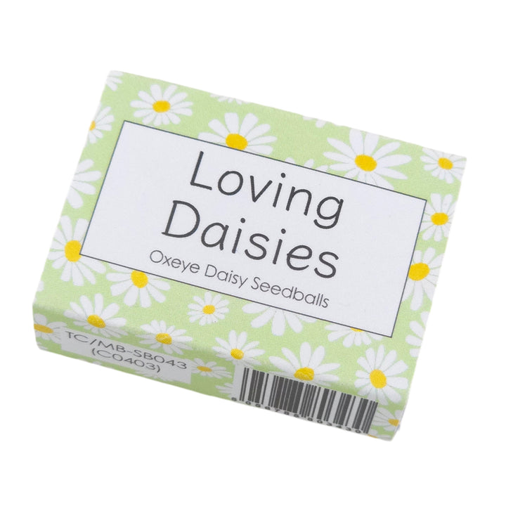 Green Daisy Design | 6 Seedball Box | Oxeye Daisy | Cracker Filler | Little Gift
