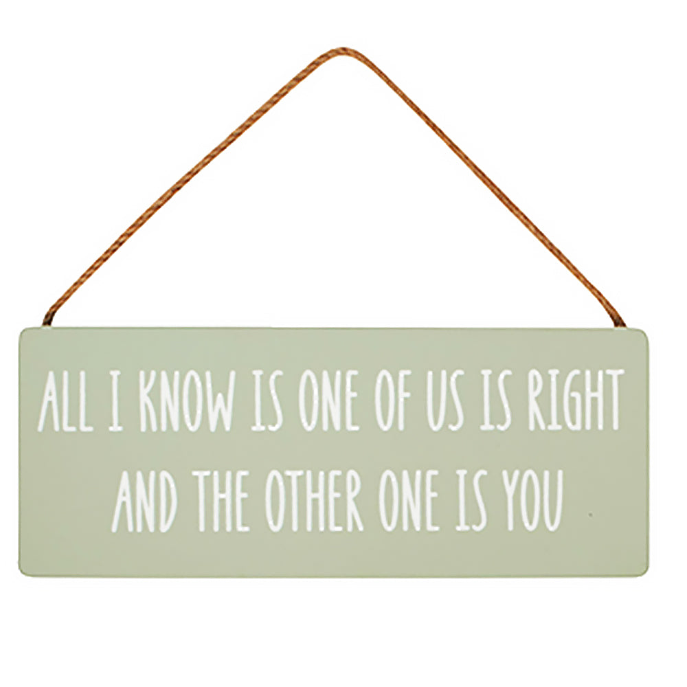 All I Know is One Of Us Is Right Funny Wooden Hanging Plaque Sign | Home Decor Gift