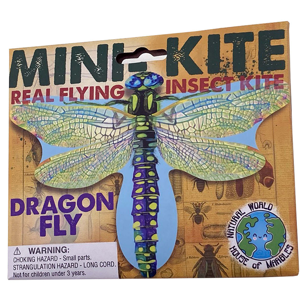 Dragonfly | Insect Themed Little Kite | Party Bag Gift | Mini Gift