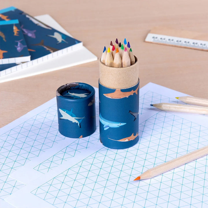 Sharks | 12 Short Coloured Pencil Crayons | Little Gift | Cracker Filler