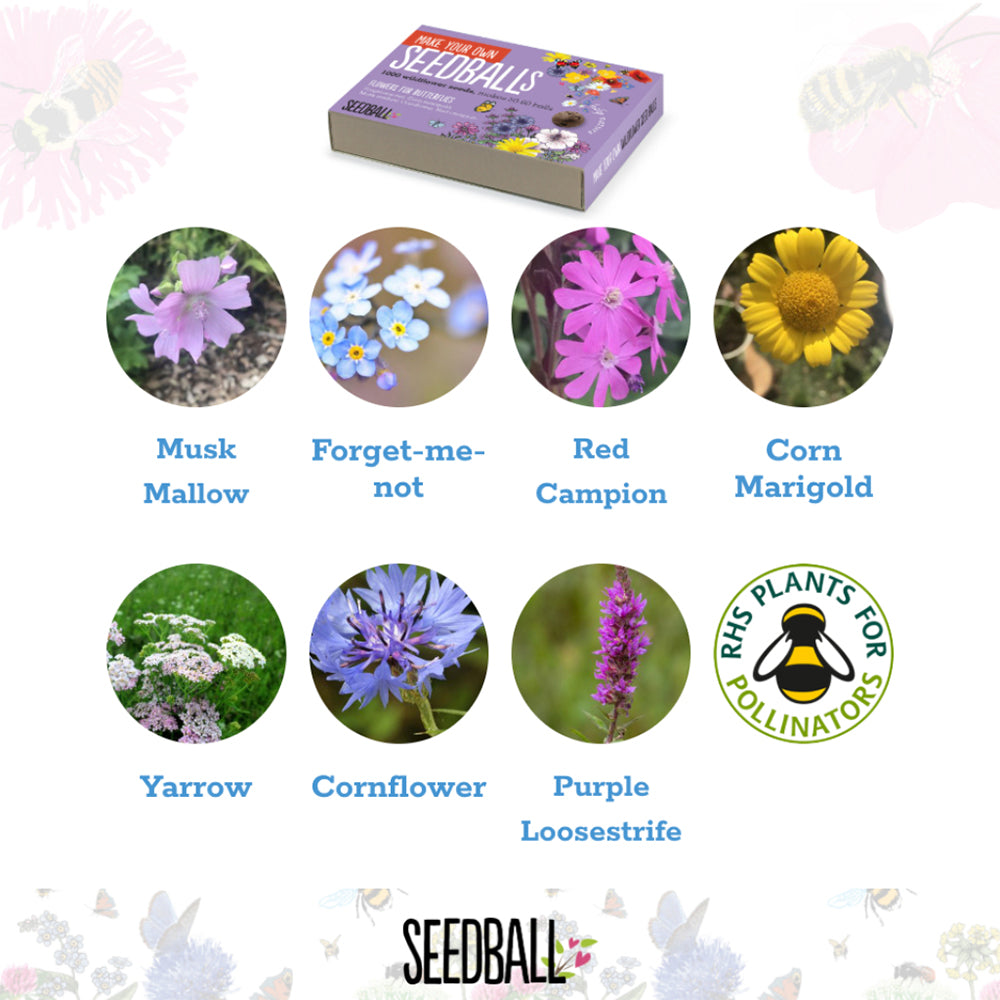 Make Your Own Seedballs Craft Kit | Flowers for Butterflies | Makes 50-60 Balls