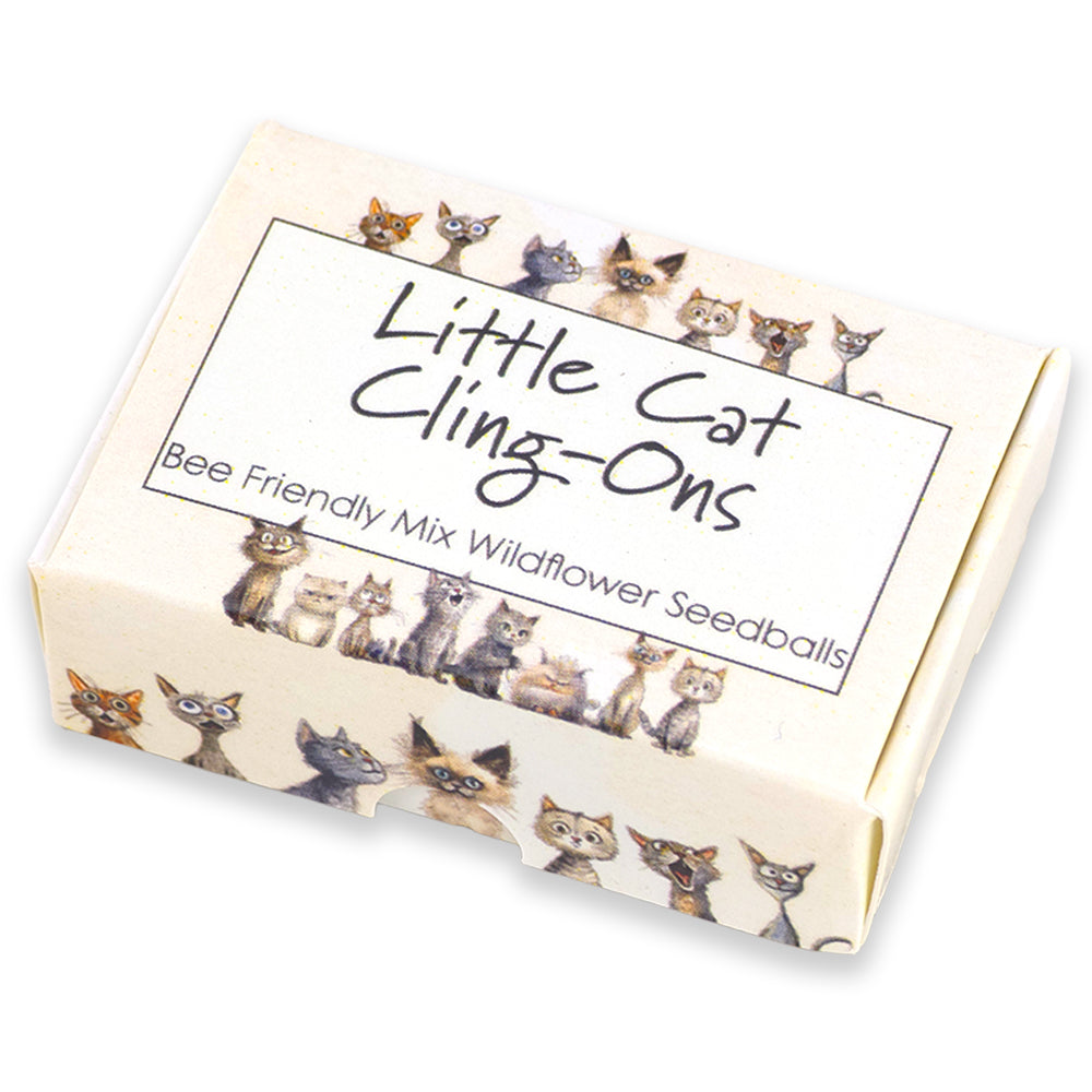 Little Cat Cling-Ons | 6 Seedball Matchbox | Bee Mix | Cracker Filler Gift