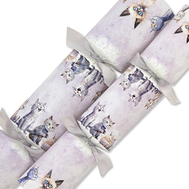 Funny Cats | Cracker Making Craft Kit | Make &amp; Fill Your Own