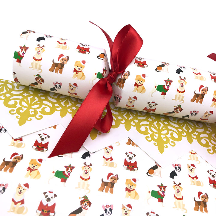 Christmas Dogs | Cracker Making Craft Kit | Make &amp; Fill Your Own