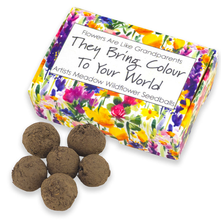 Flowers Are Like Grandparents | Artist Mix | 6 Seedball Box | Cracker Filler
