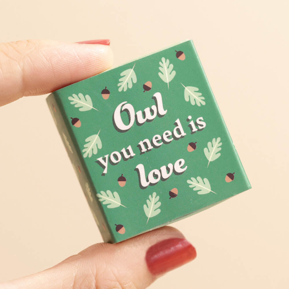 Owl You Need is Love | Mini Matchbox Token | Little Gift | Cracker Filler