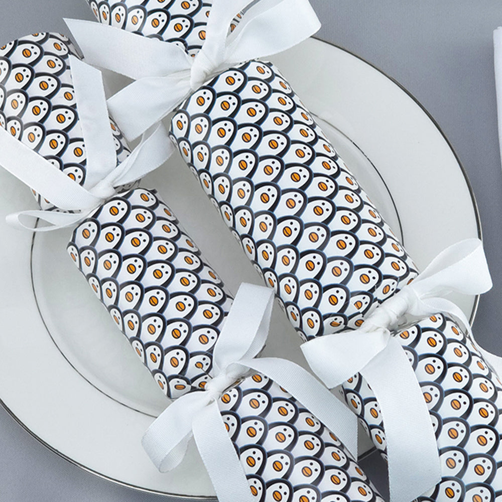 Christmas Cracker Making Craft Kits | Makes 6 Crackers | Big Choice of Designs